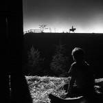 The Night of the Hunter